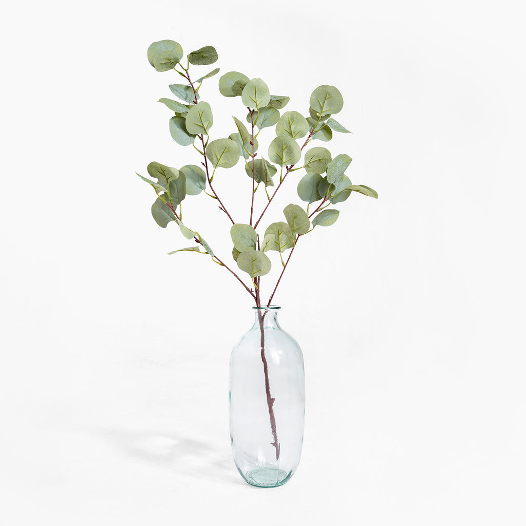 Clear glass vase with eucalyptus branches on a white background