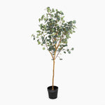 Artificial eucalyptus tree in a pot on a white background