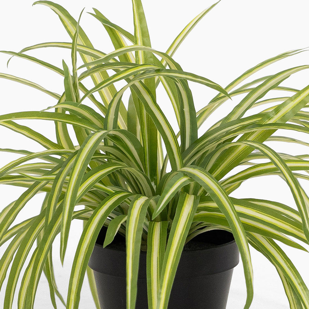 Artificial spider plant foliage