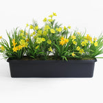 Artificial greenery with yellow flowers in a black planter on a white background