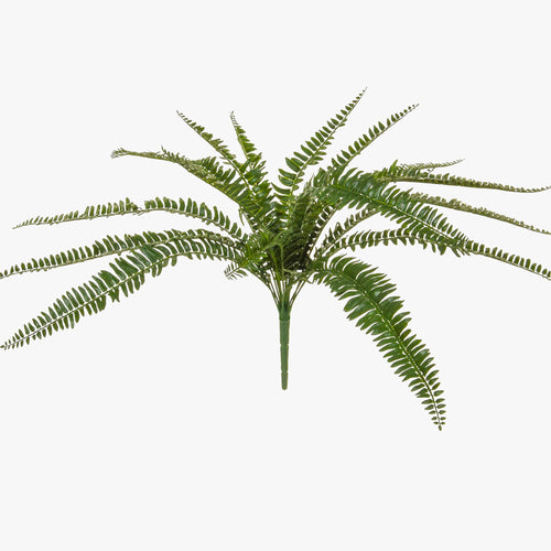 Artificial fern plant on a white background