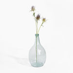 Clear glass vase with dried flowers on a white background