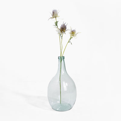 Clear glass vase with dried flowers on a white background