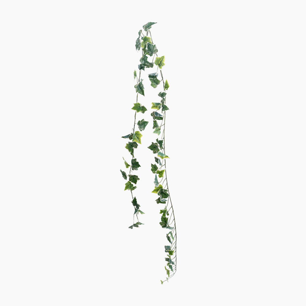 Artificial ivy vine on a white background