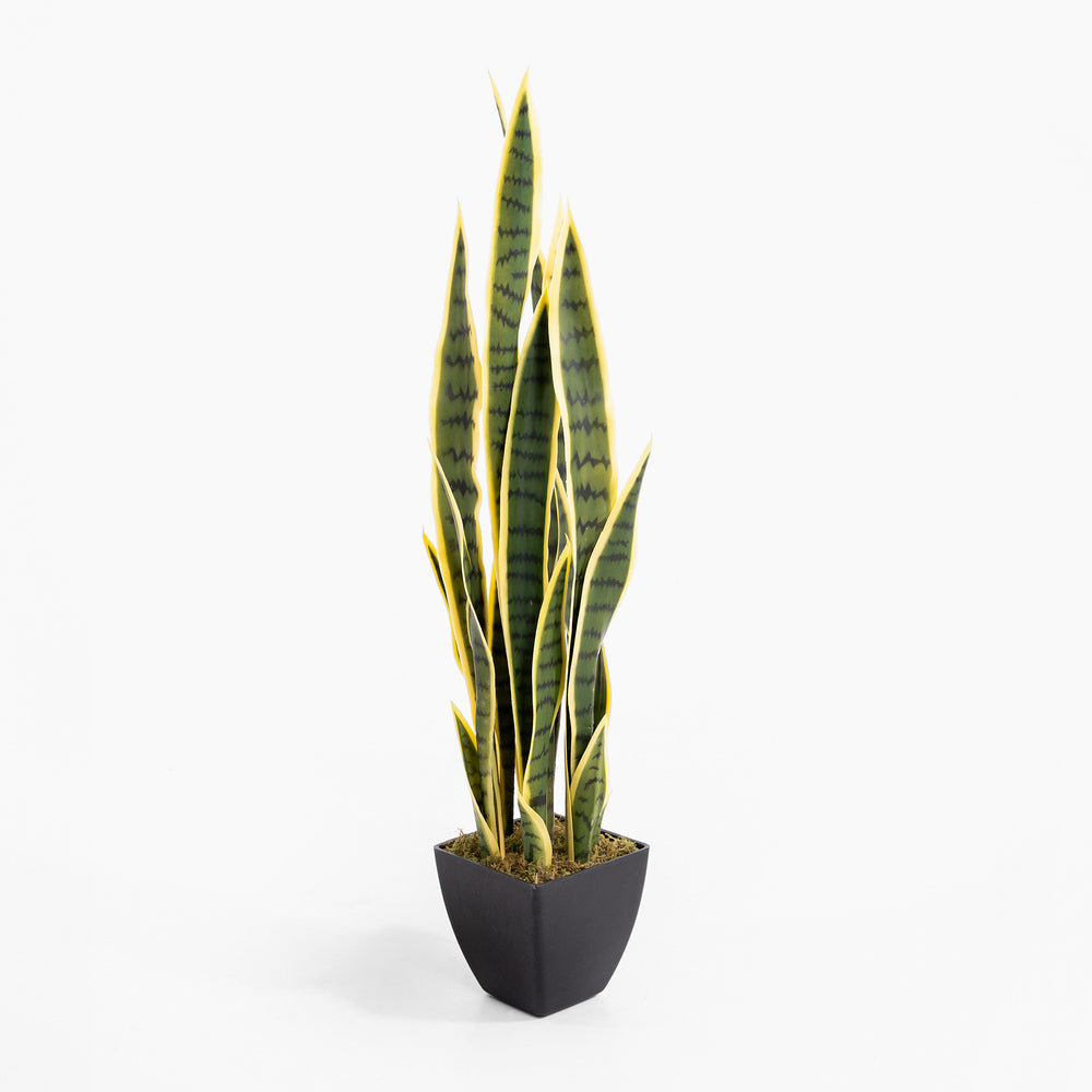 artificial snake plant uk Artificial Sansevieria - Mother-in-Laws Tongue