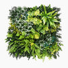 Artificial green wall with various types of greenery on a white background