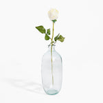 Clear glass vase with a single white rose on a white background