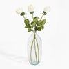 Clear glass vase with three white roses on a white background