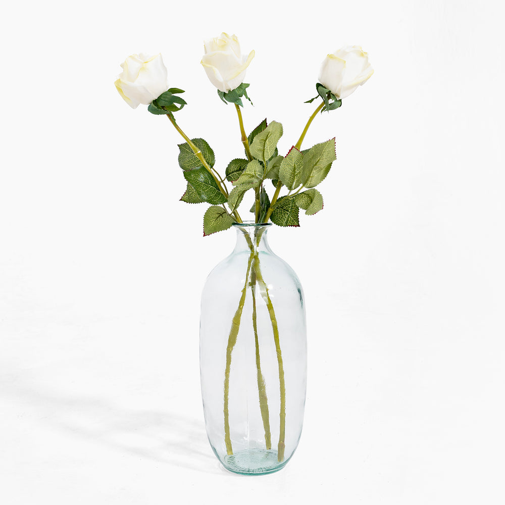 Clear glass vase with three white roses on a white background