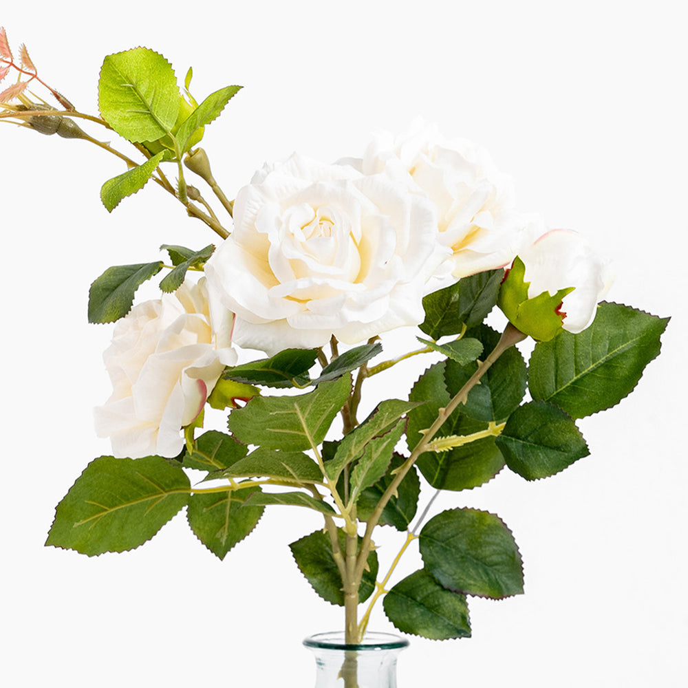 Artificial white rose bush with green leaves on a white background