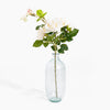 Clear glass vase with a branch of white flowers on a white background