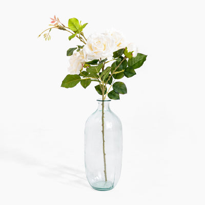 Clear glass vase with a branch of white flowers on a white background