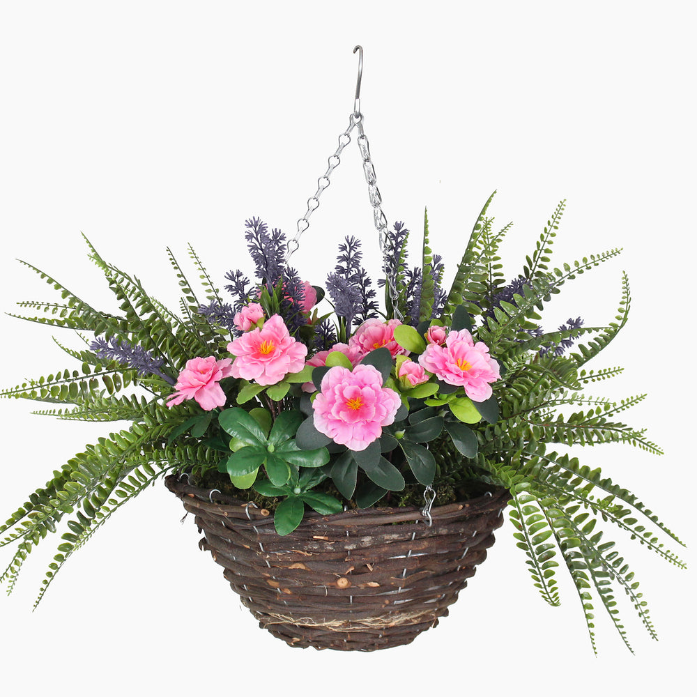 Hanging basket with pink flowers and green foliage on a white background
