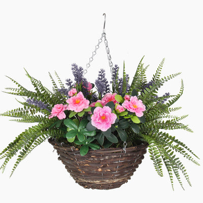 Hanging basket with pink flowers and green foliage on a white background