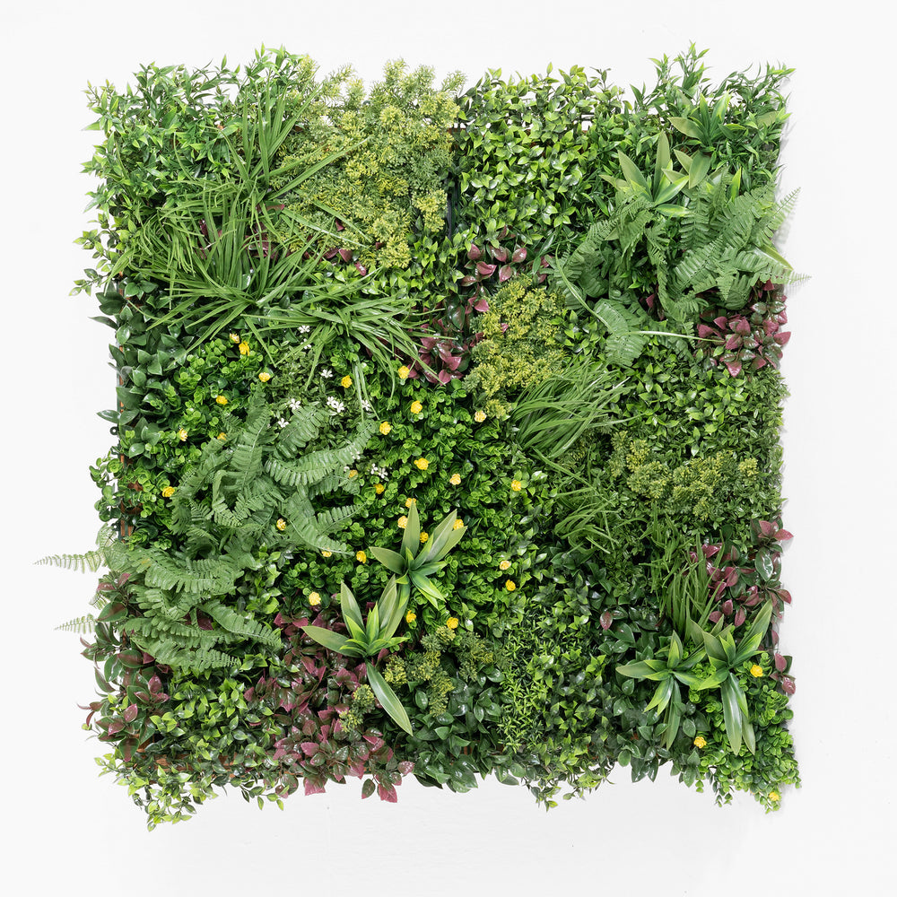 Square arrangement of various green plants on a white background