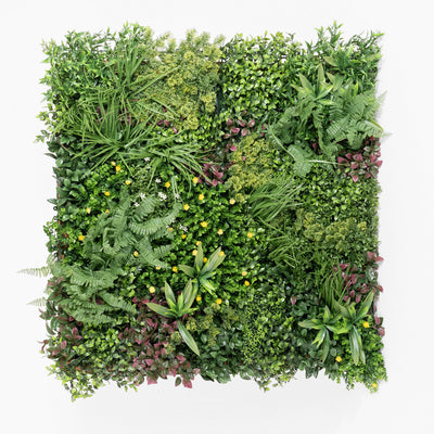 Square arrangement of various green plants on a white background