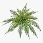 Artificial fern plant from the top on a white background