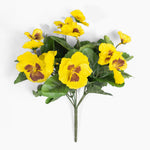 Yellow pansy flower on a white background