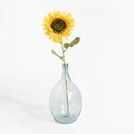 Clear glass vase with a single sunflower on a white background