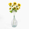 Clear glass vase with sunflower stems on a white background