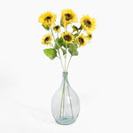 Clear glass vase with sunflower stems on a white background