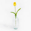 Clear glass vase with a single yellow tulip on a white background