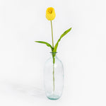 Clear glass vase with a single yellow tulip on a white background