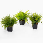 Three potted artificial plants on a white background
