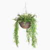 Forest foliage hanging basket