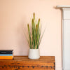 Potted plant on a wooden chest with a fireplace in the background