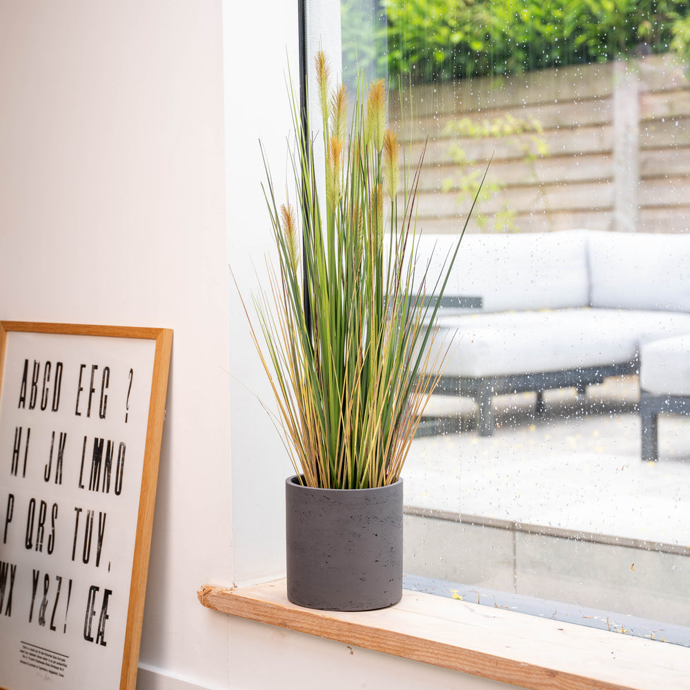 Potted glass plant on a windowsill with a framed alphabet poster next to it.