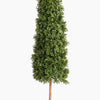 Artificial boxwood tree on a white background