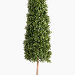 Artificial boxwood tree on a white background