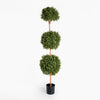 Boxwood triple ball tree