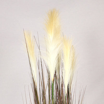 Close up of fluffy cream-colored artificial pampas grass plumes and thin brown stems, set against a plain background.