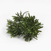 A small artificial green plant with dense, needle-like leaves, photographed on a clean white background.