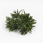 A small artificial green plant with dense, needle-like leaves, photographed on a clean white background.