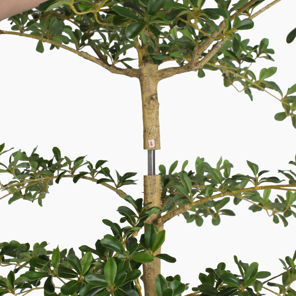 Two sections of an olive tree being put together with a red arrow  to show direction of movement.