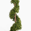 Artificial boxwood spiral topiary on a white background