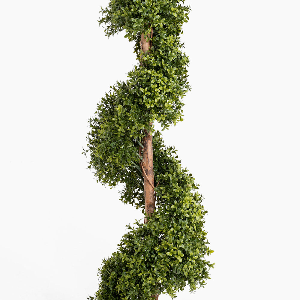 Artificial boxwood spiral topiary on a white background