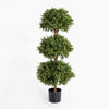 Boxwood triple ball tree