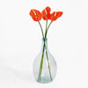 Clear glass vase with red flowers on a white background