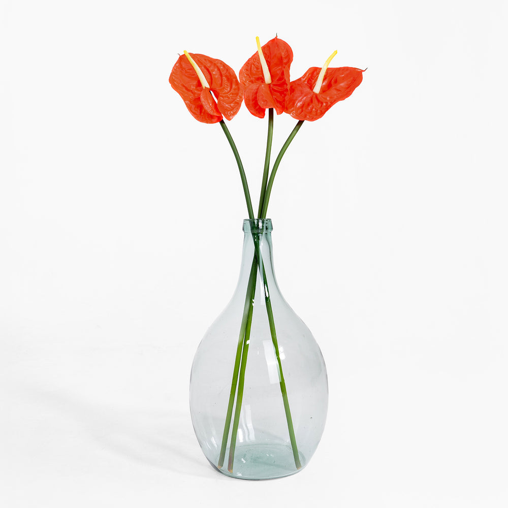 Clear glass vase with red flowers on a white background