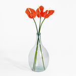 Clear glass vase with red flowers on a white background