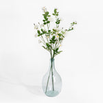 Clear glass vase with white flowers on a white background