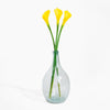Clear glass vase with yellow calla lilies on a white background