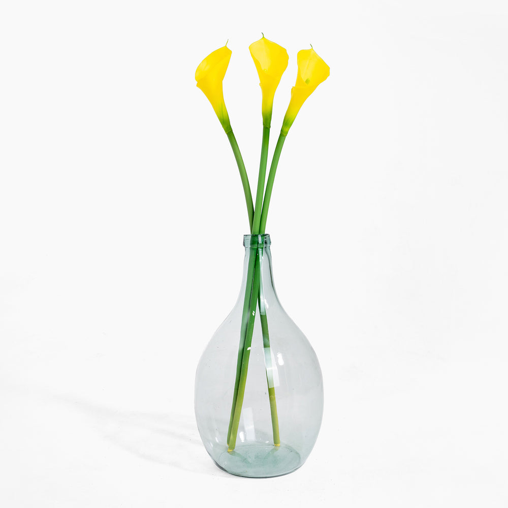 Clear glass vase with yellow calla lilies on a white background