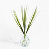 Clear glass vase with green plant stems on a white background
