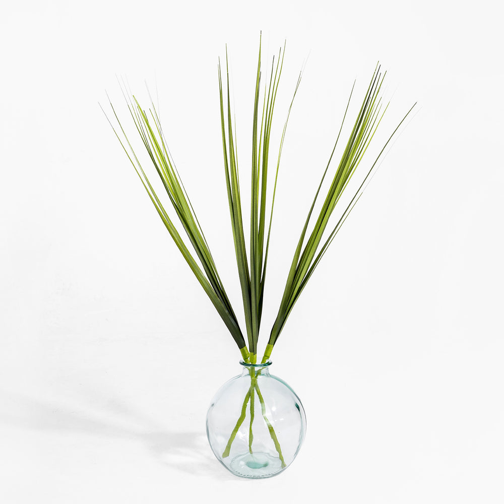 Clear glass vase with green plant stems on a white background