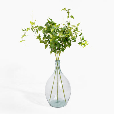 Clear glass vase with green leaves on a white background